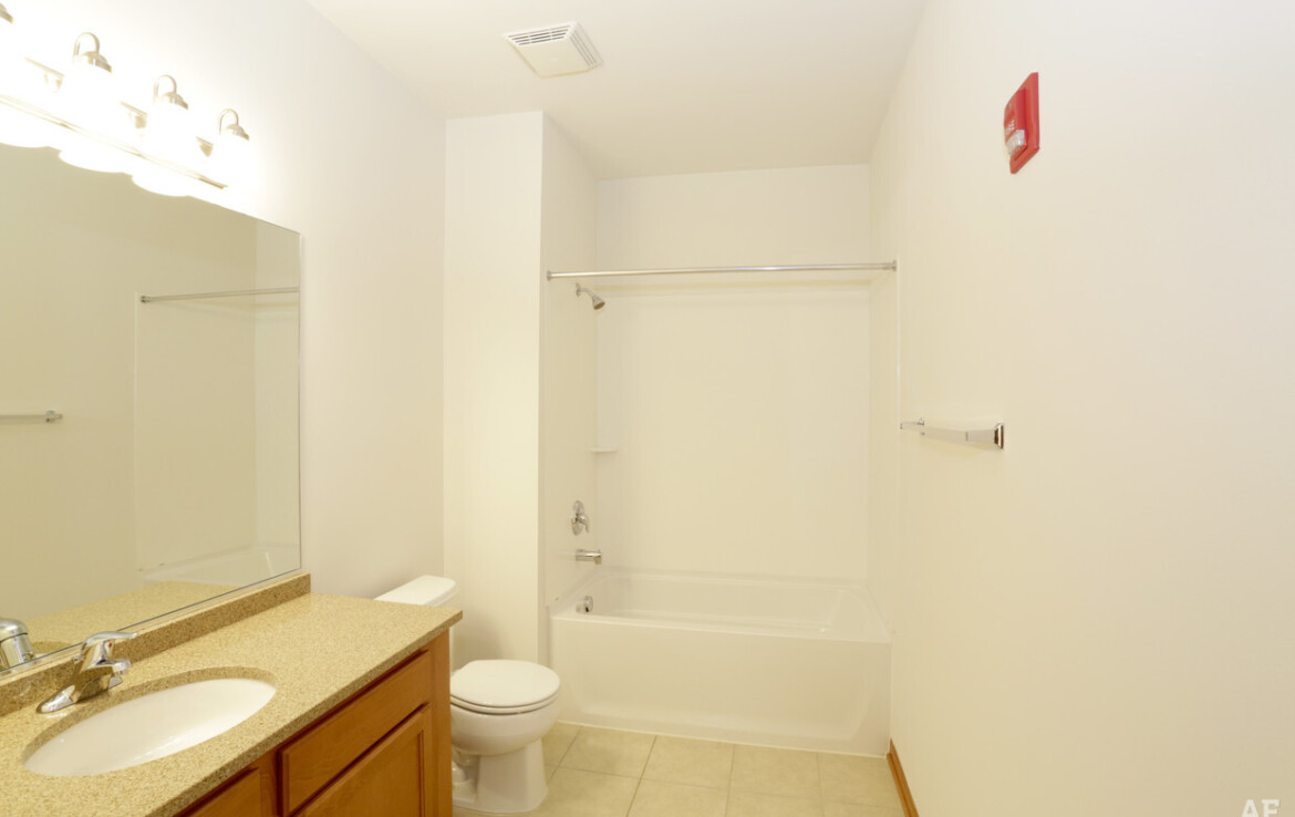 3 Bed, 2 Bath